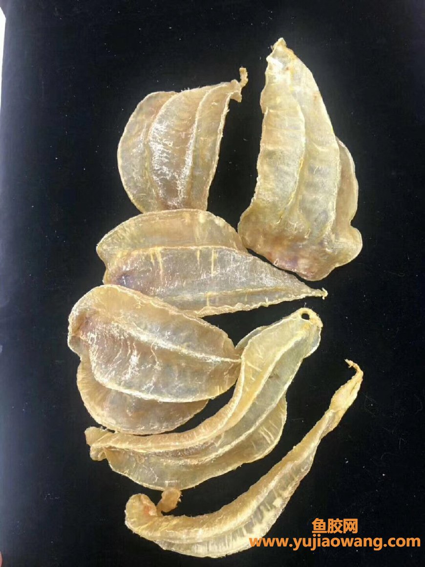 (什么东西会解鱼胶)花胶当饭吃都不会上火，但为什么有些人吃完感觉上