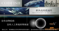 (鳕鱼胶原蛋白肽的副作用)mmV胶原蛋白肽有没有副_作用_mmV胶原蛋