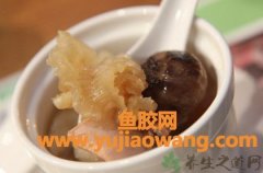 (鱼胶炖鹅肉的好处)花胶一次吃多少合适