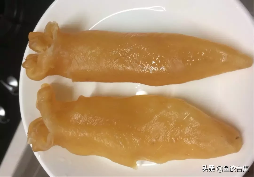 (鱼胶泡发变粉变烂)方法不对，努力白费!5种鱼胶泡发方法，利弊