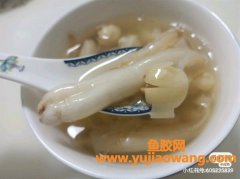 (鱼胶可以与茶树菇一起炖吗)豆仁胶(花胶中的迷你战斗机)
