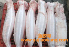 (鱼漂跟鱼胶一样吗)什么是鱼胶_鱼泡是怎样成为鱼胶的，整个蜕