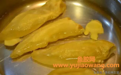 (炖鱼胶到底要不要泡发)鱼胶_花胶品种很多，泡发炖煮方法主要