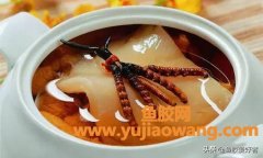 (炖虫草与鱼胶有什么区别)不仅仅是滋补，顶级鱼胶「花胶」美