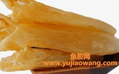 (日本哪里有鱼胶卖)鱼胶，寻常食材而已