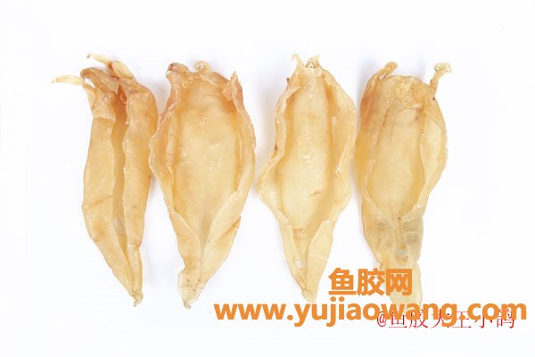 (体热体质的人可以吃鱼胶吗)花胶的做法，花胶达人教你几种简单实用的