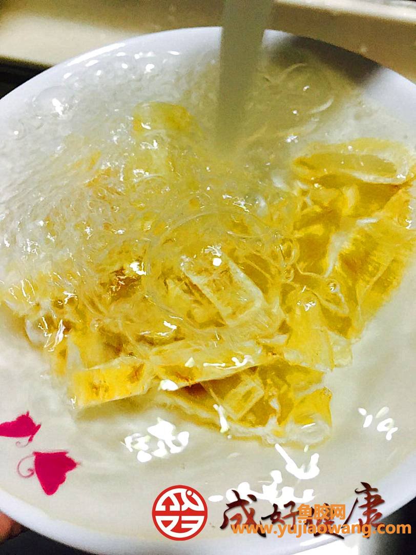 (人参果可以跟鱼胶一起炖吗)鱼胶，保持靓丽容颜的法宝