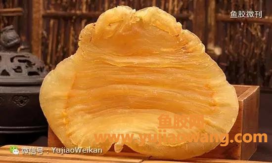 (乳腺癌术后吃鱼胶)鱼胶[花胶]的民间食疗方，功效吓到你!