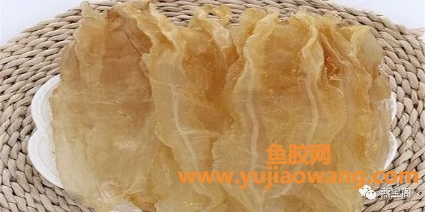 (黄花鱼鱼胶的功效)花胶的功效与作用及食用方法 (黄花鱼鱼胶的功效)花胶的功效与作用及食用方法