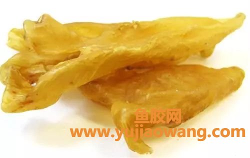 (鱼鳔鱼胶有区别吗)鱼胶和花胶的区别你了解多少_鱼胶和花胶有什么区