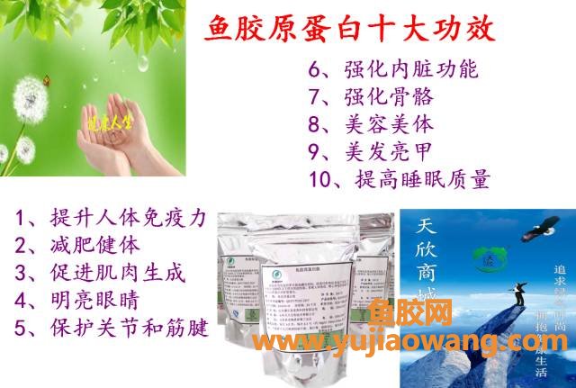 (鱼胶蛋白肽怎么吃)鱼胶原蛋白肽——可以吃的美容护肤品!