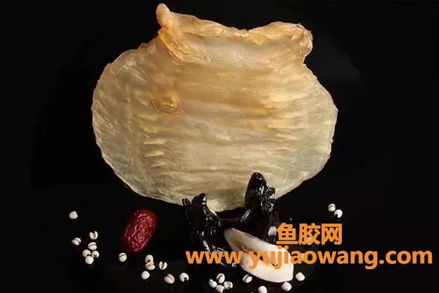 (鱼胶能和北芪一起炖吗)北芪当归炖花胶,驱宫寒保卵巢超管用! (鱼胶能和北芪一起炖吗)北芪当归炖花胶,驱宫寒保卵巢超管用!