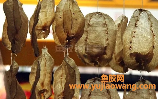 (鱼胶炖苹果什么功效)空腹来一碗鱼胶炖汤,身体竟会发生这些变化,很多