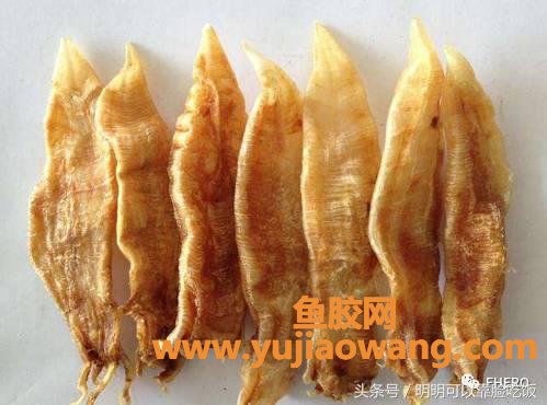 (鱼胶炖好反而还是很大块)鱼胶科普_鱼胶有血块、破裂等现象怎么办_可