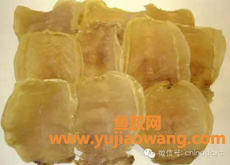 (鱼胶汤怎么做好吃)鱼胶怎么做才好吃_鱼胶的几种烹饪方法 (鱼胶汤怎么做好吃)鱼胶怎么做才好吃_鱼胶的几种烹饪方法