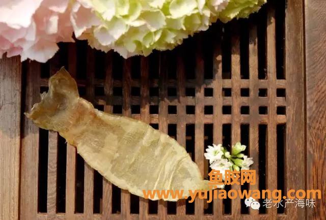 (鱼胶怎么保存最好)鱼胶保存的最佳方法
