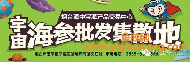 (鱼胶和海参的功效)最全燕窝,花胶,海参泡发攻略和用法 (鱼胶和海参的功效)最全燕窝,花胶,海参泡发攻略和用法