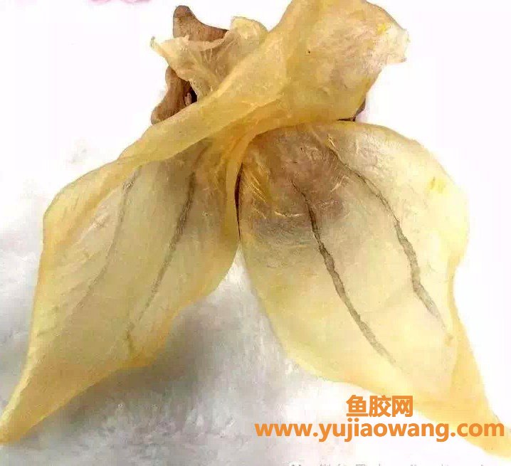 (鱼胶吃不下吞下去)花胶去腥大法_炖完的花胶腥味太重吃不下_不存在的