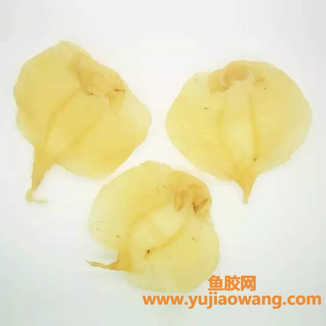 (鱼漂跟鱼胶一样吗)价值连城的鱼胶!