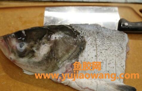 (长期吃鱼胶原蛋白)鱼身上的此物是个宝,强健骨骼还美容健脑,常吃能 (长期吃鱼胶原蛋白)鱼身上的此物是个宝,强健骨骼还美容健脑,常吃能