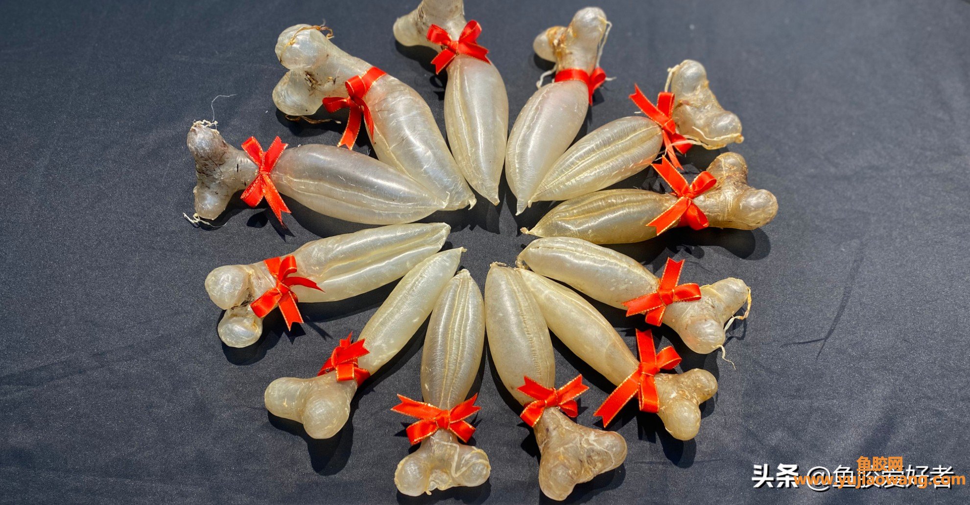 (金钱鮸鱼胶100克价格)鱼胶越厚就越好吗_这么薄，却是最贵的鱼胶之一
