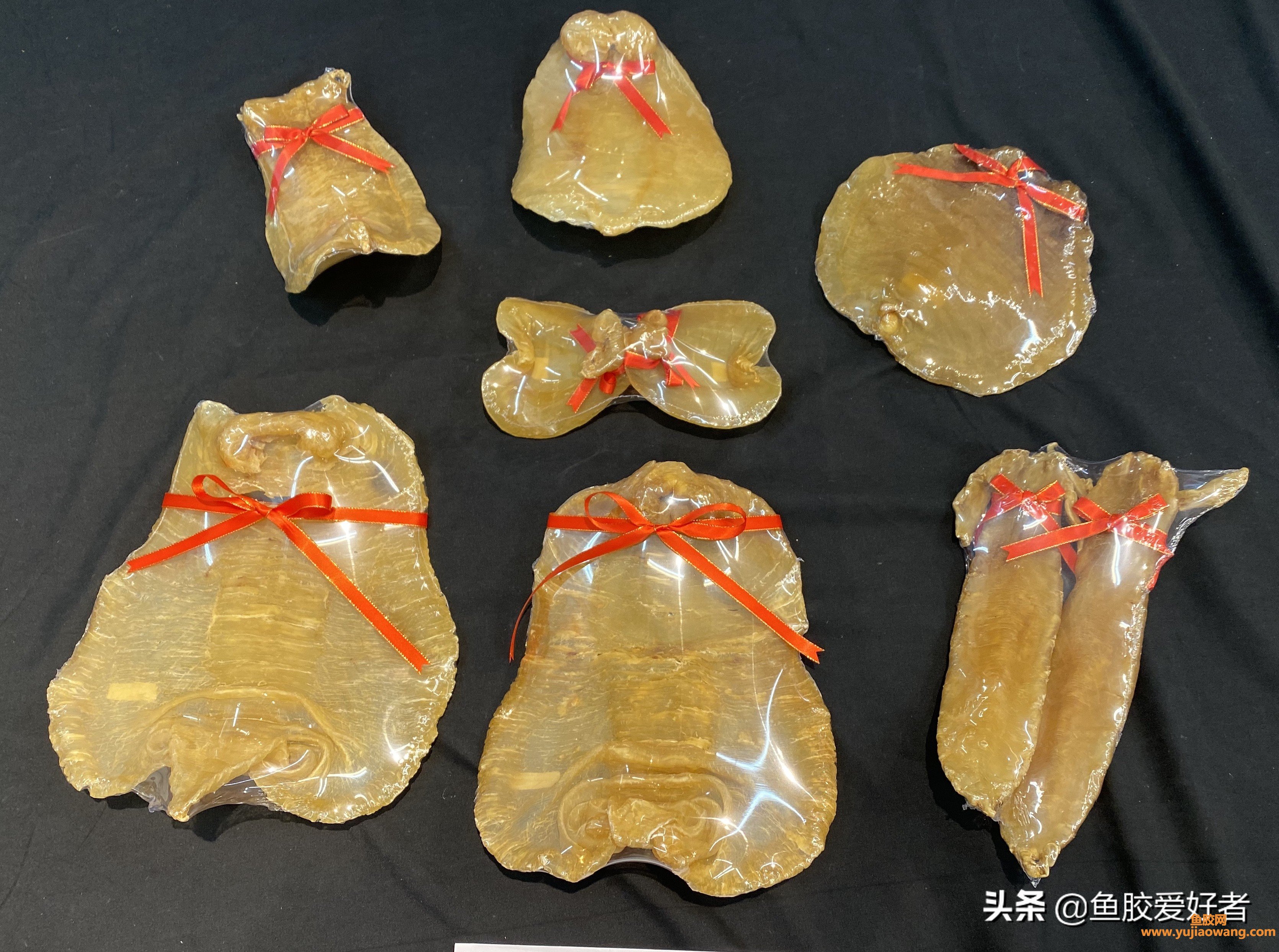 (金钱鮸鱼胶100克价格)鱼胶越厚就越好吗_这么薄，却是最贵的鱼胶之一