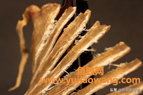 (百利鱼胶片怎么泡)鱼胶泡发疑难问题都在这里，水发、蒸发、油发有什