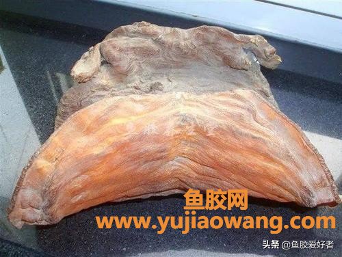 (百利鱼胶片怎么泡)鱼胶泡发疑难问题都在这里，水发、蒸发、油发有什
