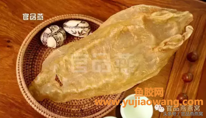 (烫伤后病人吃鱼胶好不好)花胶对身体有多好_进来了解一下就知道了!