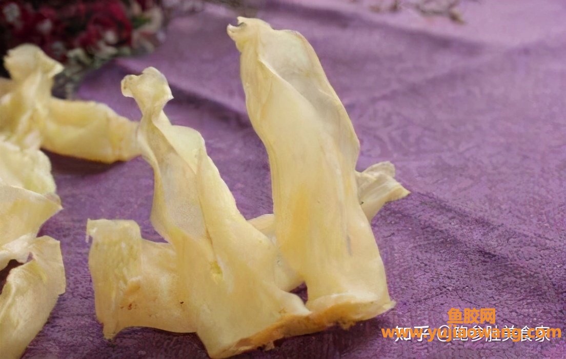 (泰国佐罗鱼胶图片)大门楼鲍参肚_巴沙胶=合成胶_这样的花胶白送都白送 (泰国佐罗鱼胶图片)大门楼鲍参肚_巴沙胶=合成胶_这样的花胶白送都白送