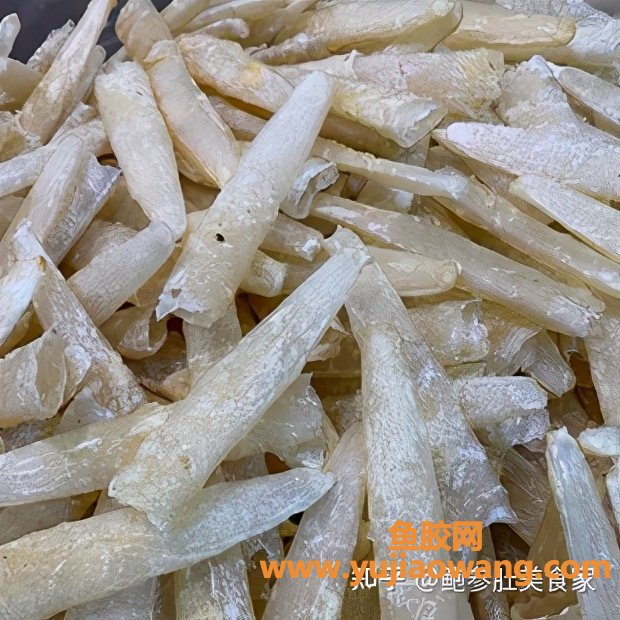 (泰国佐罗鱼胶图片)大门楼鲍参肚_巴沙胶=合成胶_这样的花胶白送都白送 (泰国佐罗鱼胶图片)大门楼鲍参肚_巴沙胶=合成胶_这样的花胶白送都白送