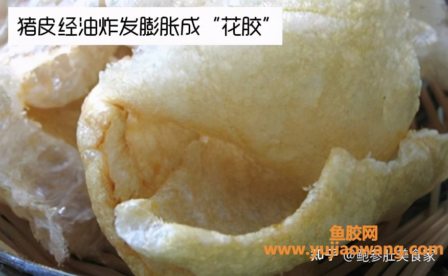 (泰国佐罗鱼胶图片)大门楼鲍参肚_巴沙胶=合成胶_这样的花胶白送都白送 (泰国佐罗鱼胶图片)大门楼鲍参肚_巴沙胶=合成胶_这样的花胶白送都白送