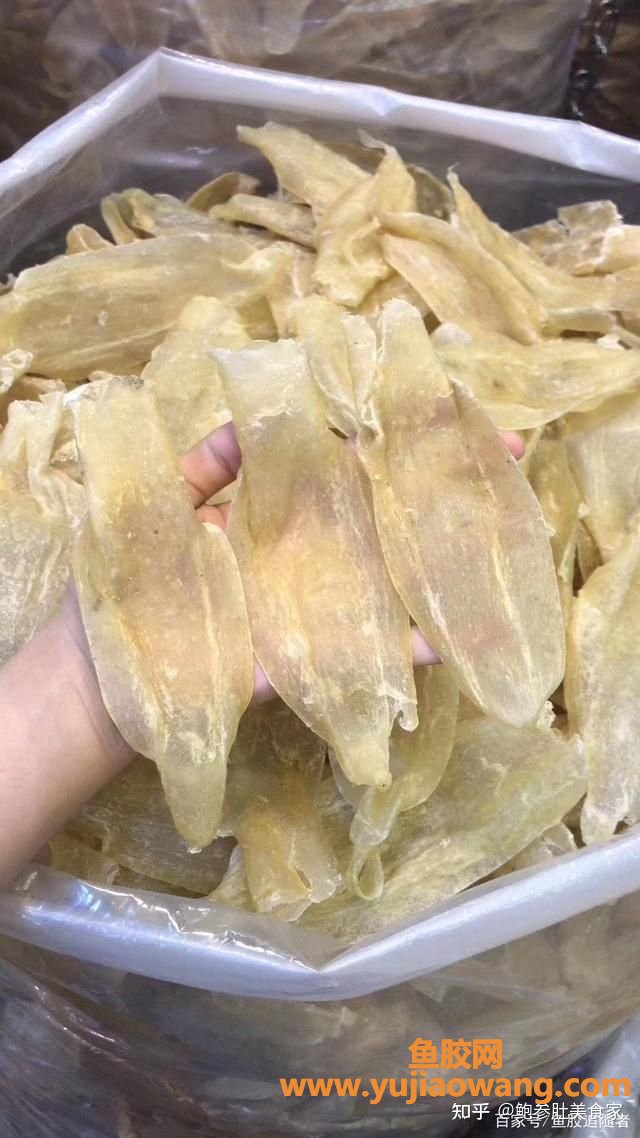(泰国佐罗鱼胶图片)大门楼鲍参肚_巴沙胶=合成胶_这样的花胶白送都白送 (泰国佐罗鱼胶图片)大门楼鲍参肚_巴沙胶=合成胶_这样的花胶白送都白送