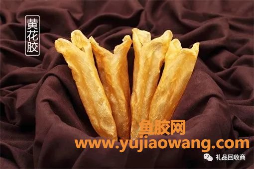 (横直鱼胶营养价值)天河回收鱼胶-天河花胶回收真实价格表