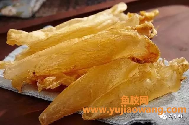 (手术过后几天可以吃鱼胶)鱼胶储存方法一二