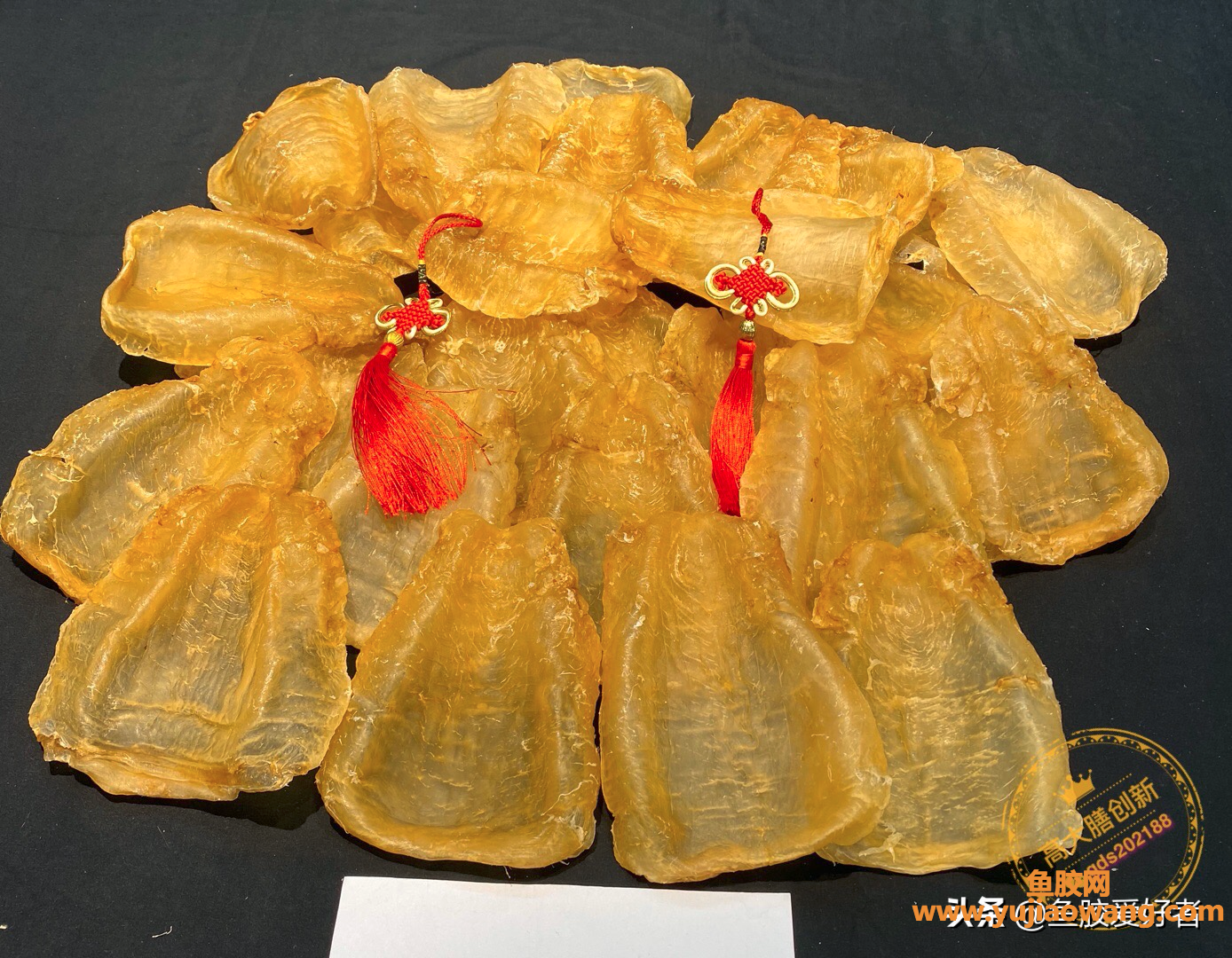 (怎么辨别鱼胶肉质厚)「收藏版」斗湖胶_市场火爆的神仙鱼胶,一篇带 (怎么辨别鱼胶肉质厚)「收藏版」斗湖胶_市场火爆的神仙鱼胶,一篇带