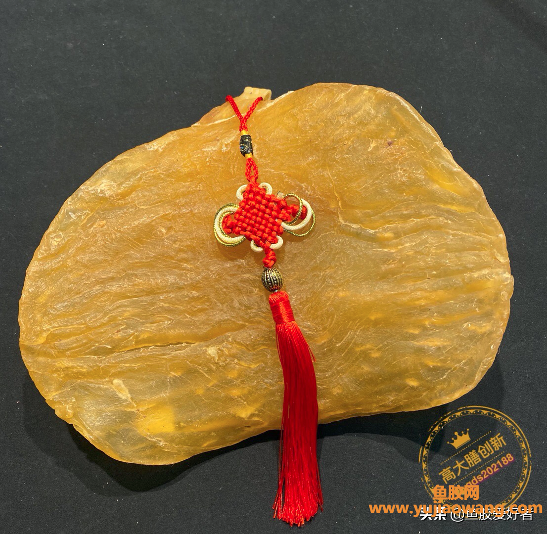 (怎么辨别鱼胶肉质厚)「收藏版」斗湖胶_市场火爆的神仙鱼胶,一篇带 (怎么辨别鱼胶肉质厚)「收藏版」斗湖胶_市场火爆的神仙鱼胶,一篇带