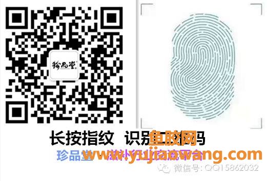 (心脏手术后多久可以吃鱼胶)不同人吃鱼胶的不同效果