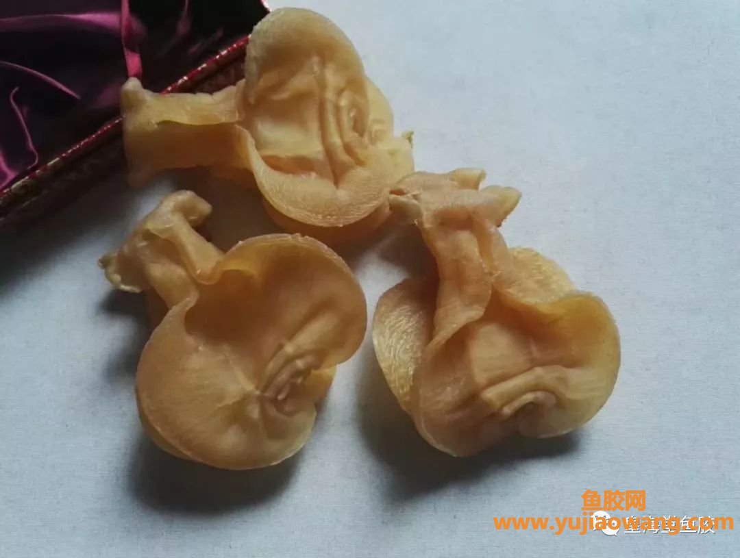 (孕妇吃鱼胶的最佳时间)怀孕怎么吃鱼胶最好及功效作用