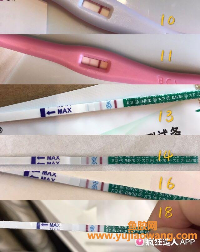 (备孕时吃鱼胶好吗)吃鱼胶不小心吃出好孕_