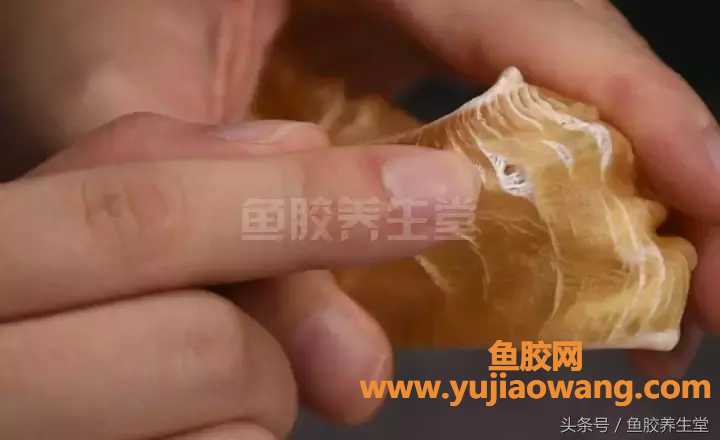 (哺乳期吃鱼胶都通过母乳给宝宝吗)准妈妈吃花胶秘笈_从这道花胶靓汤