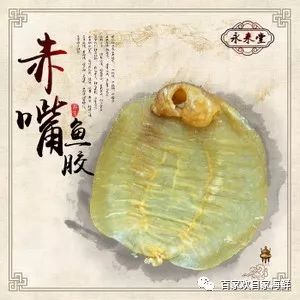 (哺乳期吃什么鱼胶好)赤嘴鱼胶