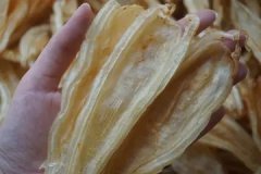 花胶鲍鱼干煲鸡汤的做法(什么是鱼胶？鱼胶有什么营养价值，又
