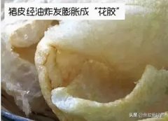 核桃炖花胶瘦肉功效与作用(请问花胶螺肉红枣汤怎么做？有什么