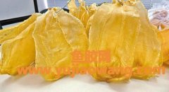 (乳腺癌术后吃鱼胶)干货_揭秘鱼胶不为人知的民间食疗方