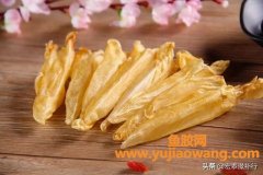 (黄花鱼胶产地在哪里)鱼胶第二期_你买的鱼胶是假的_这款鱼胶中