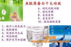 (鱼胶蛋白肽怎么吃)鱼胶原蛋白肽——可以吃的美容护肤品!