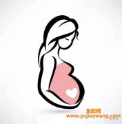 (怀孕两个月可以吃鱼胶吗)怀孕妈妈可以吃鱼胶吗_坐月子如何吃