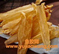 (发霉的鱼胶还能吃吗)担心买到臭花胶_灯下照一照，就能轻松辨