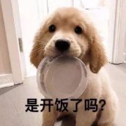 (吃了鱼胶可以吃萝卜)冬季时令美食_花胶鸡，滋补养颜不在话下
